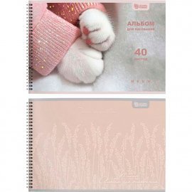 Альбом д/рис. 40 л. А4- греб. Schoolformat ЭСТЕТИКА ДЕВОЧЕК мел. карт., ВД-лак 270483