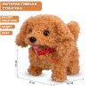 Собака со звуковыми эффектами 14см МС-1018 TONGDE